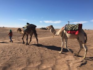 Morocco Camel Trek, 1 Day and 1 Night (Sahara Desert Camping)