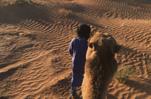  Sahara Camel Trek